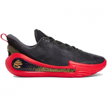 Curry 12 Year of the Snake