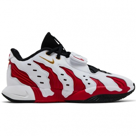 Nike Deion Sanders Max 96 Lebron XXI