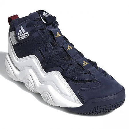 kixstats.com | Which basketball players wear adidas Top Ten 2000